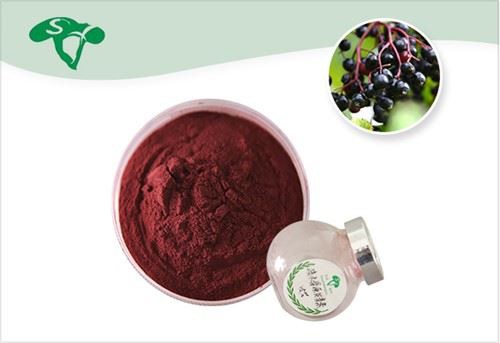 Elderberry Extract Powder